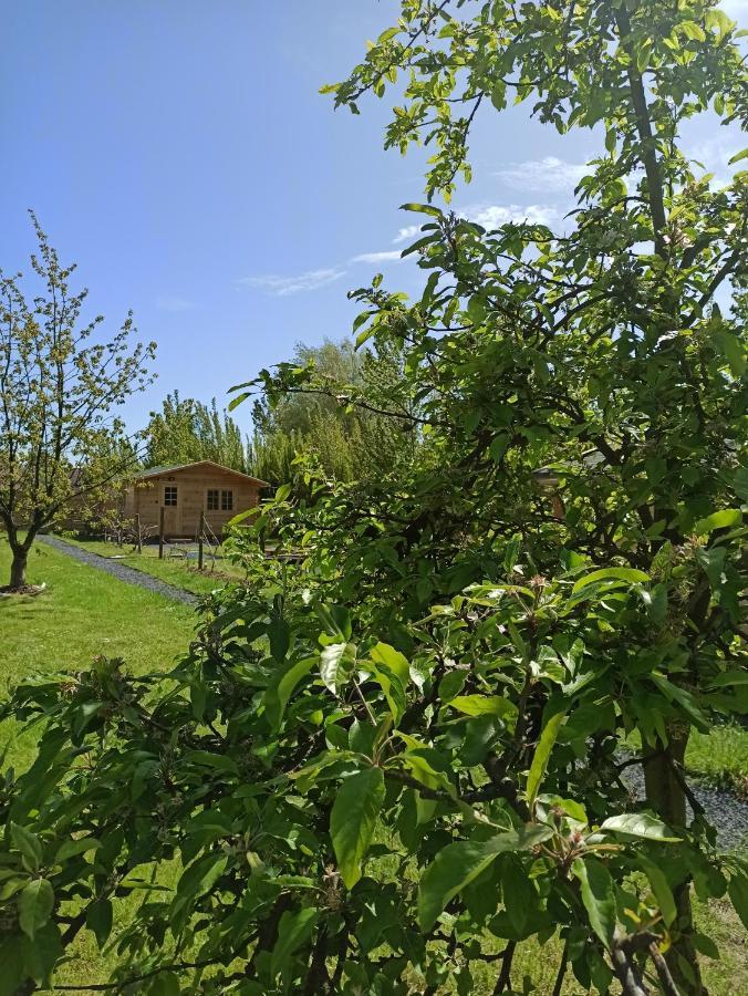 Les Du Fliers Verton Meubles De Tourisme Classes 2 Etoiles Holiday home