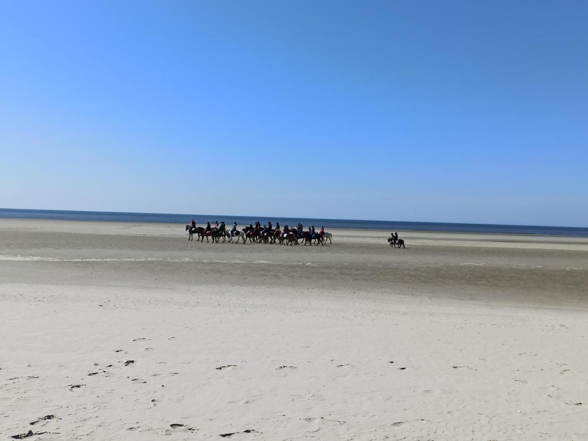 Les Du Fliers Verton Meubles De Tourisme Classes 2 Etoiles * Berck