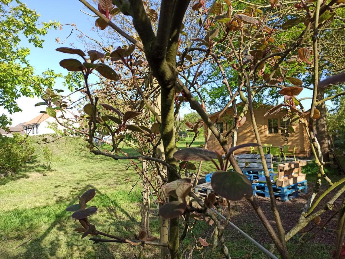 Les Du Fliers Verton Meubles De Tourisme Classes 2 Etoiles Holiday home *