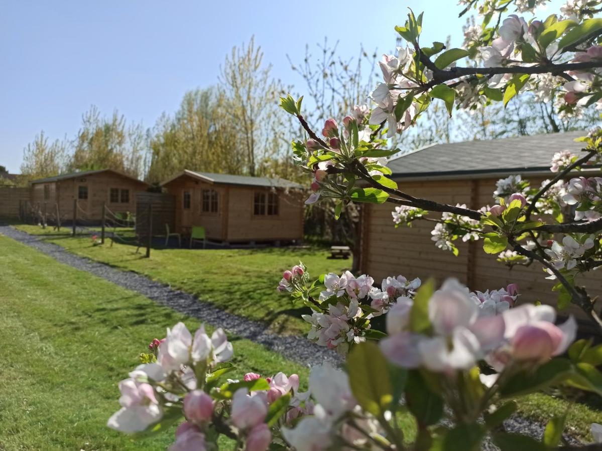 Les Du Fliers Verton Meubles De Tourisme Classes 2 Etoiles Holiday home